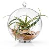 Scotch Cabinet Bumpers 3M SP950-NA Clear 1/2 Inch Pack of 20-7